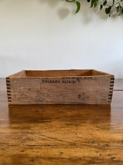 Vintage Cut Down Shell Wooden Crate