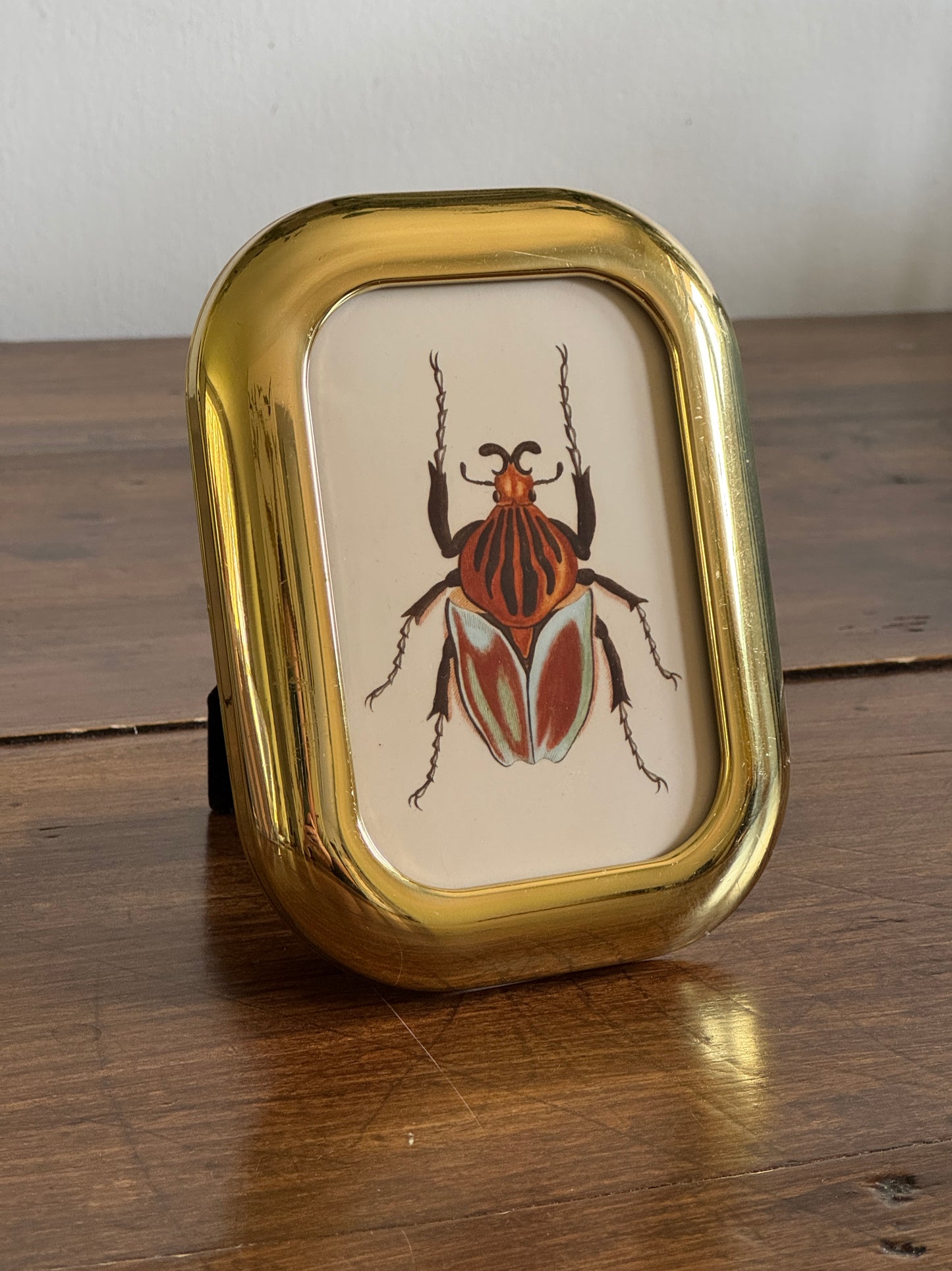 Small Rounded Brass Frame and Beetle Art Print