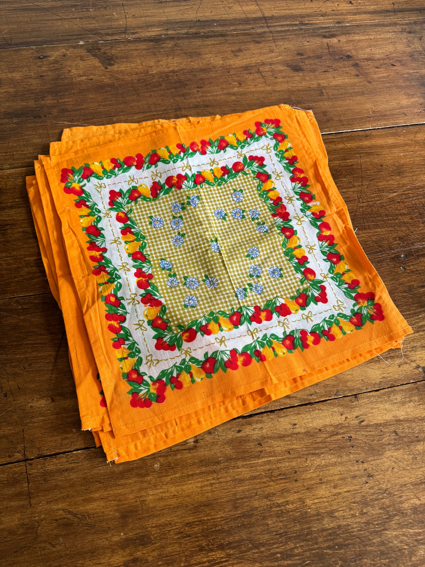 Colourful Fruit and Flowers Cloth Picnic Napkins - Set of 12