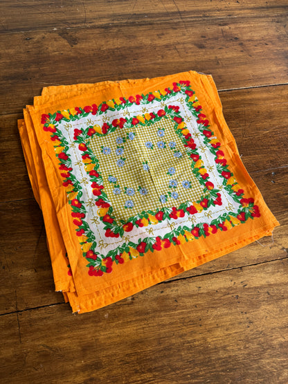 Colourful Fruit and Flowers Cloth Picnic Napkins - Set of 12