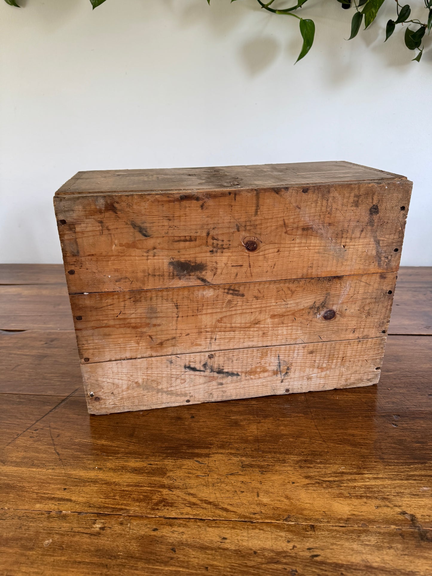 Polar Dynamite Wooden Vintage Crate