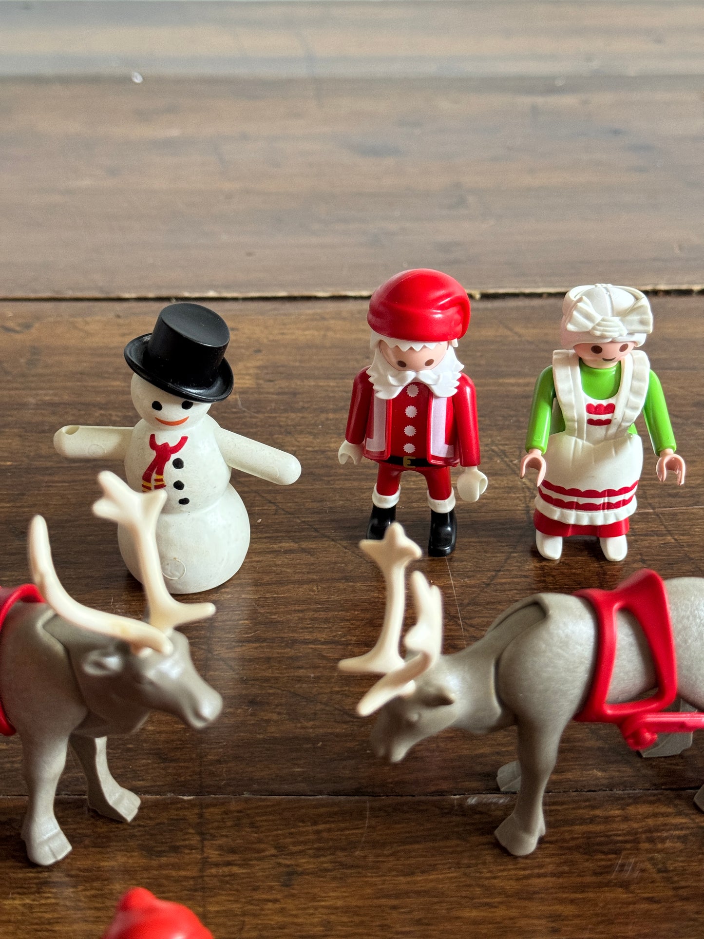 Playmobil Holiday Mixed Set