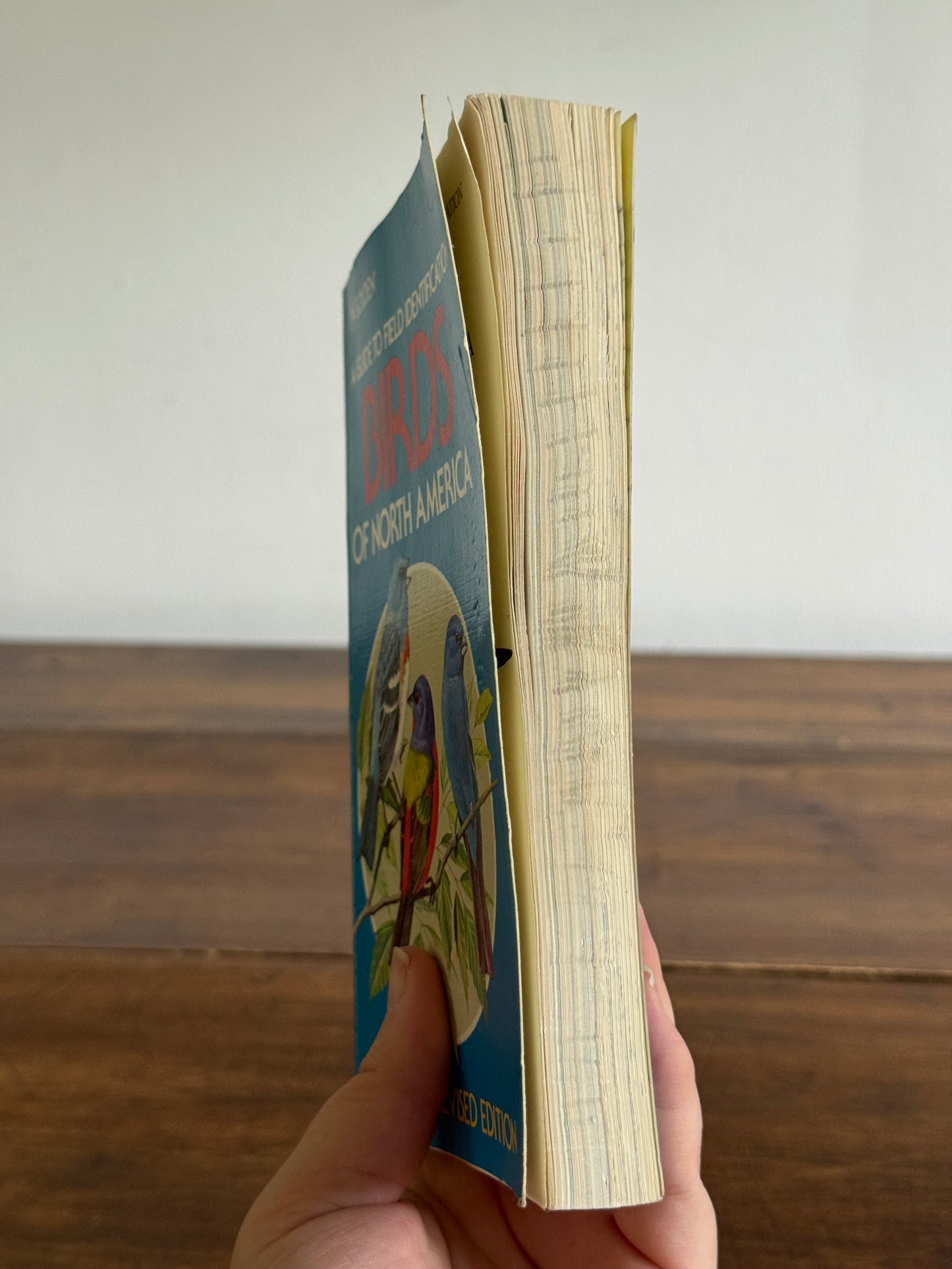 North American Birds Pocket Guide Book - Golden Books