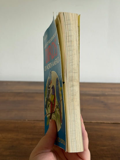 North American Birds Pocket Guide Book - Golden Books