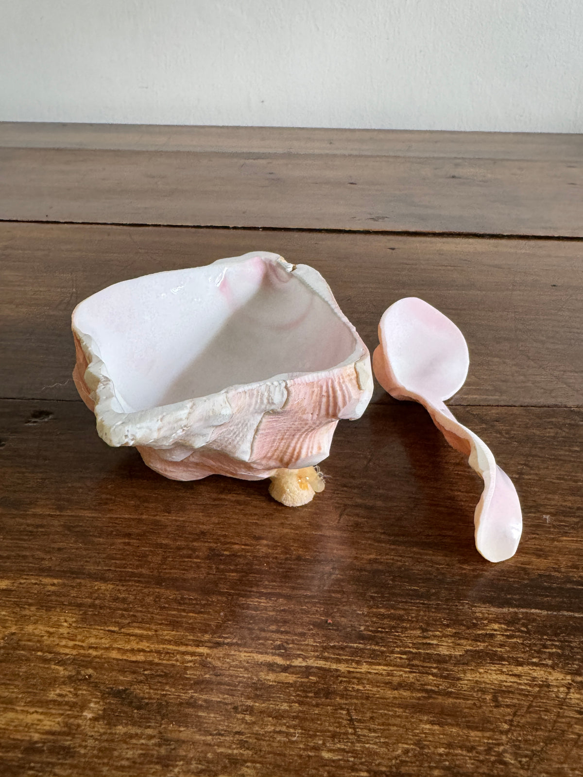 Carved Conch Shell Dish with Shell Spoon - Mermaid Dining Set