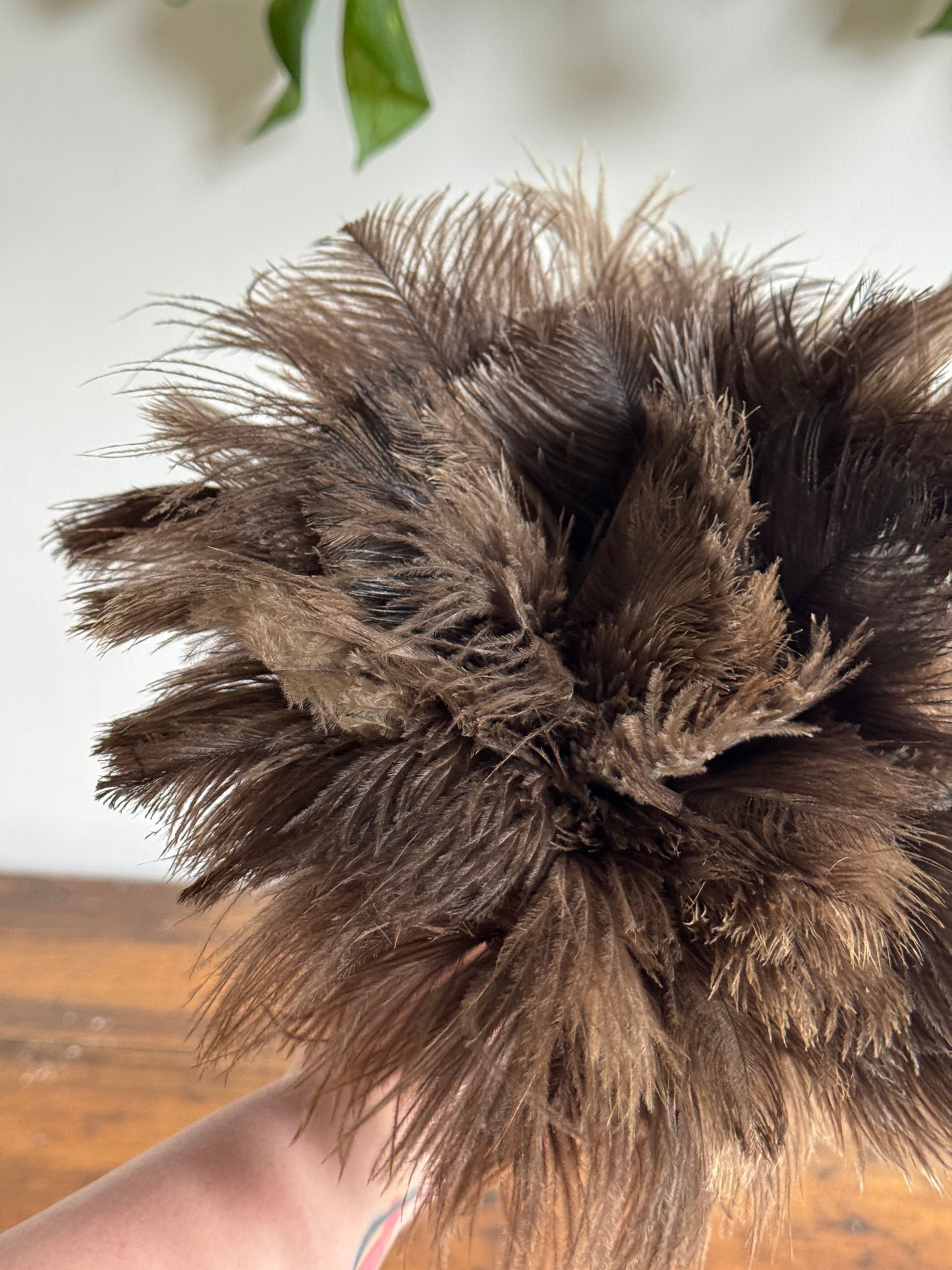 Vintage Real Feather Duster on Red Wood Handle