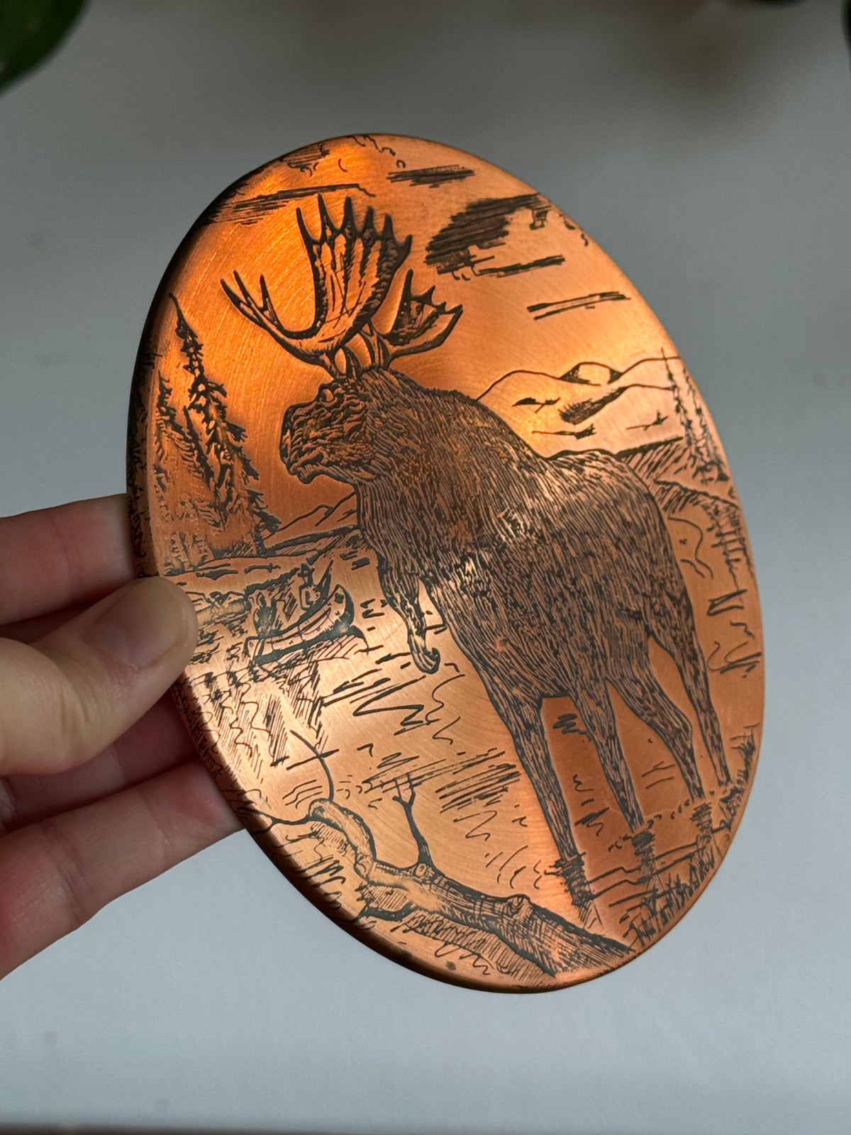 Moose in Water Copper Wall Hanging - Made in Canada