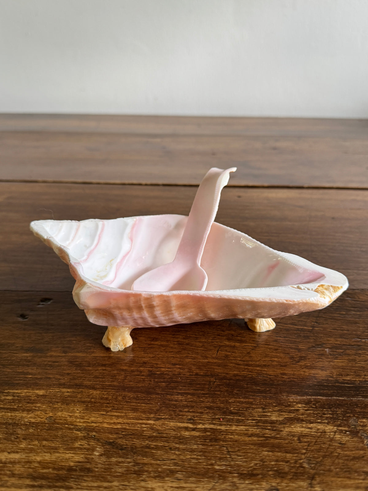 Carved Conch Shell Dish with Shell Spoon - Mermaid Dining Set
