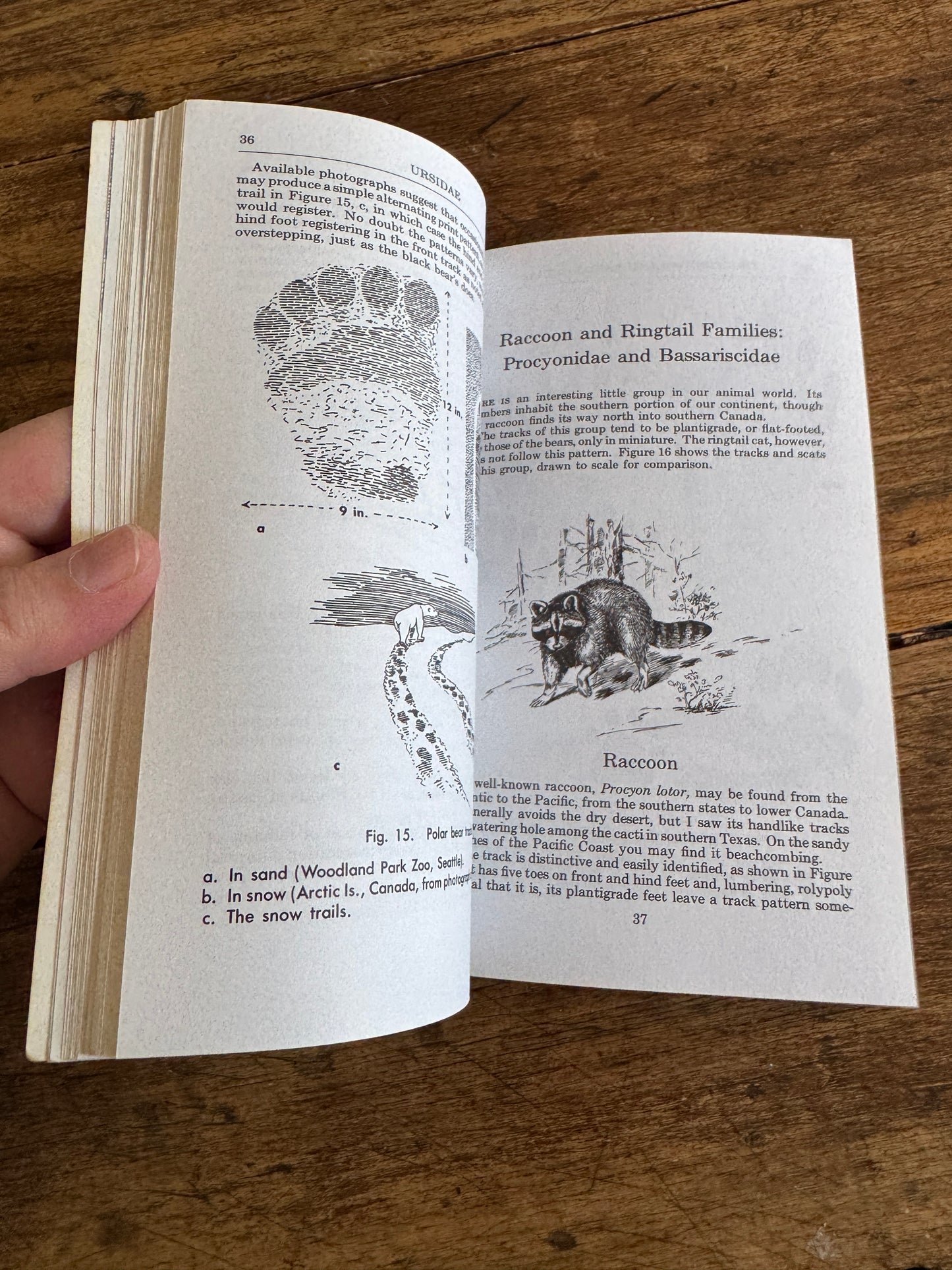 Peterson Field Guide Animal Tracks Guide Book by Olaus J. Murie - Second Edition Printed USA