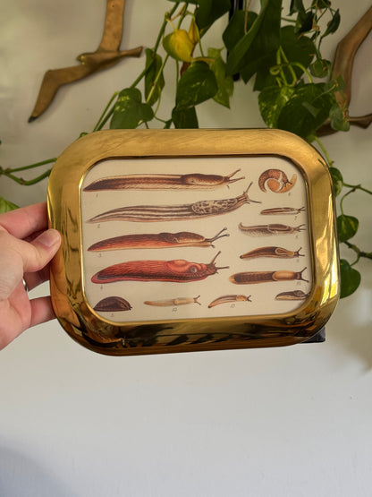 Medium Rounded Brass Frame and Slug Art Print