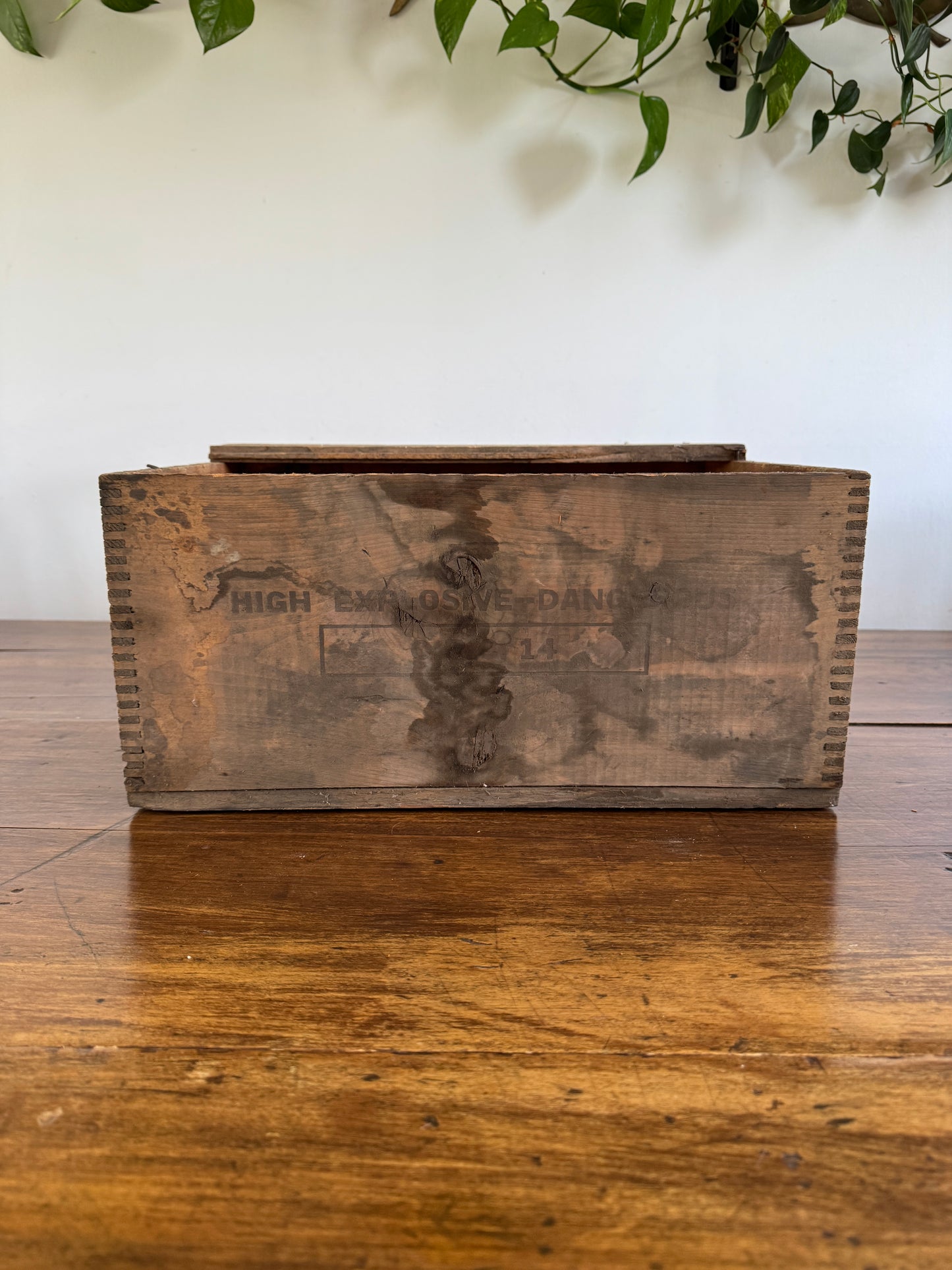 Polar Dynamite Wooden Vintage Crate