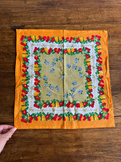 Colourful Fruit and Flowers Cloth Picnic Napkins - Set of 12