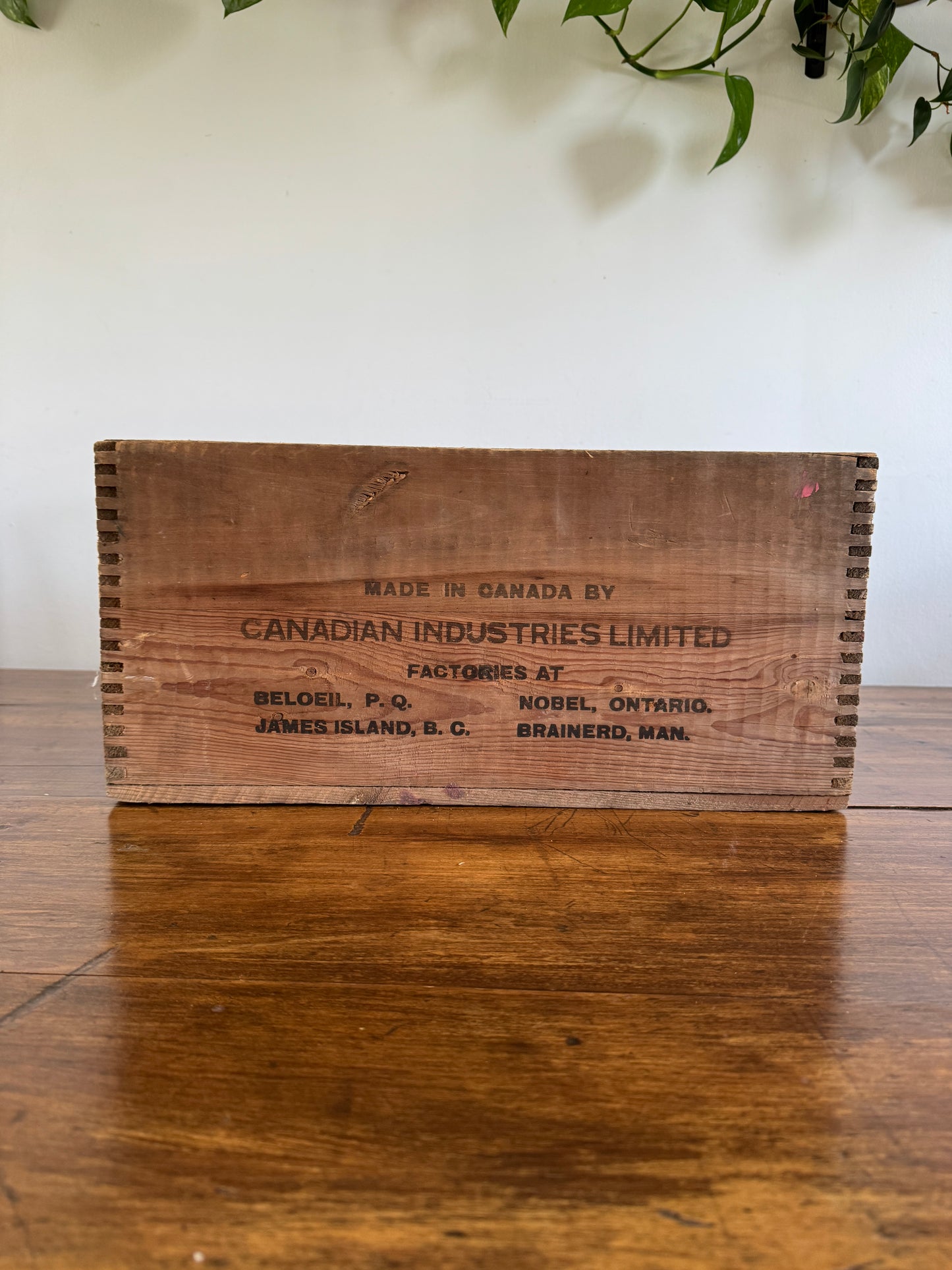 Dynamite Forcite CIL Wooden Crate