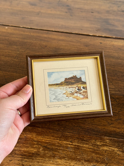 Vintage Small Bird Print in Frame "Bamburgh" by David Binns 198/250