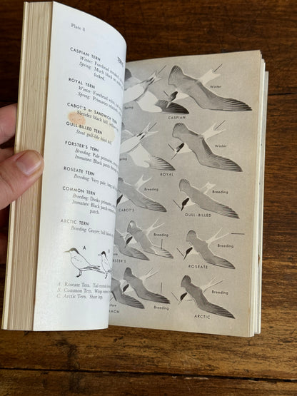Field Guide to the Birds Reference Book - Eastern Land and Water Birds by Roger Tory Peterson