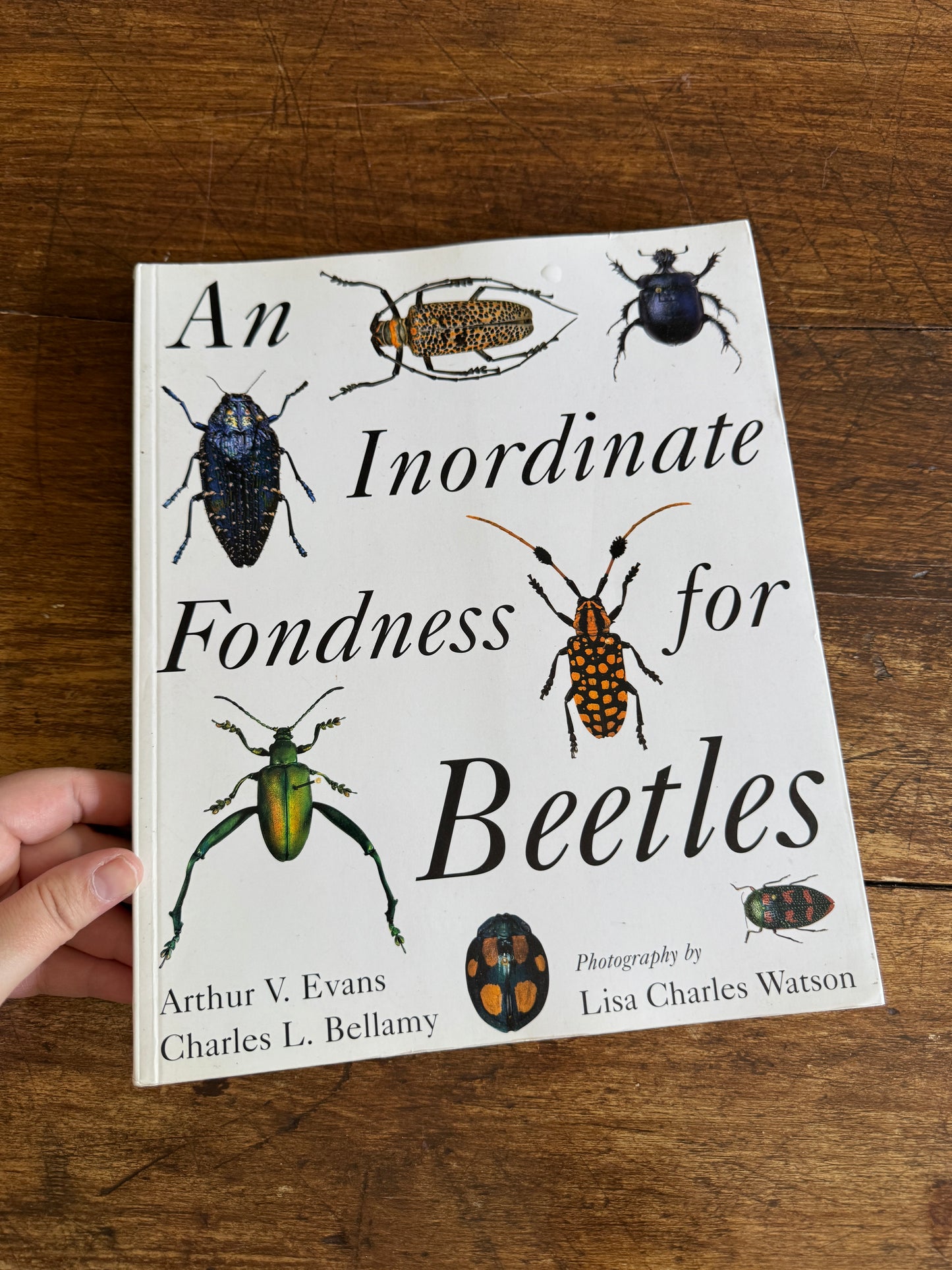An Inordinate Fondness for Beetles Book by Evans and Bellamy 2000 - Printed in PR China