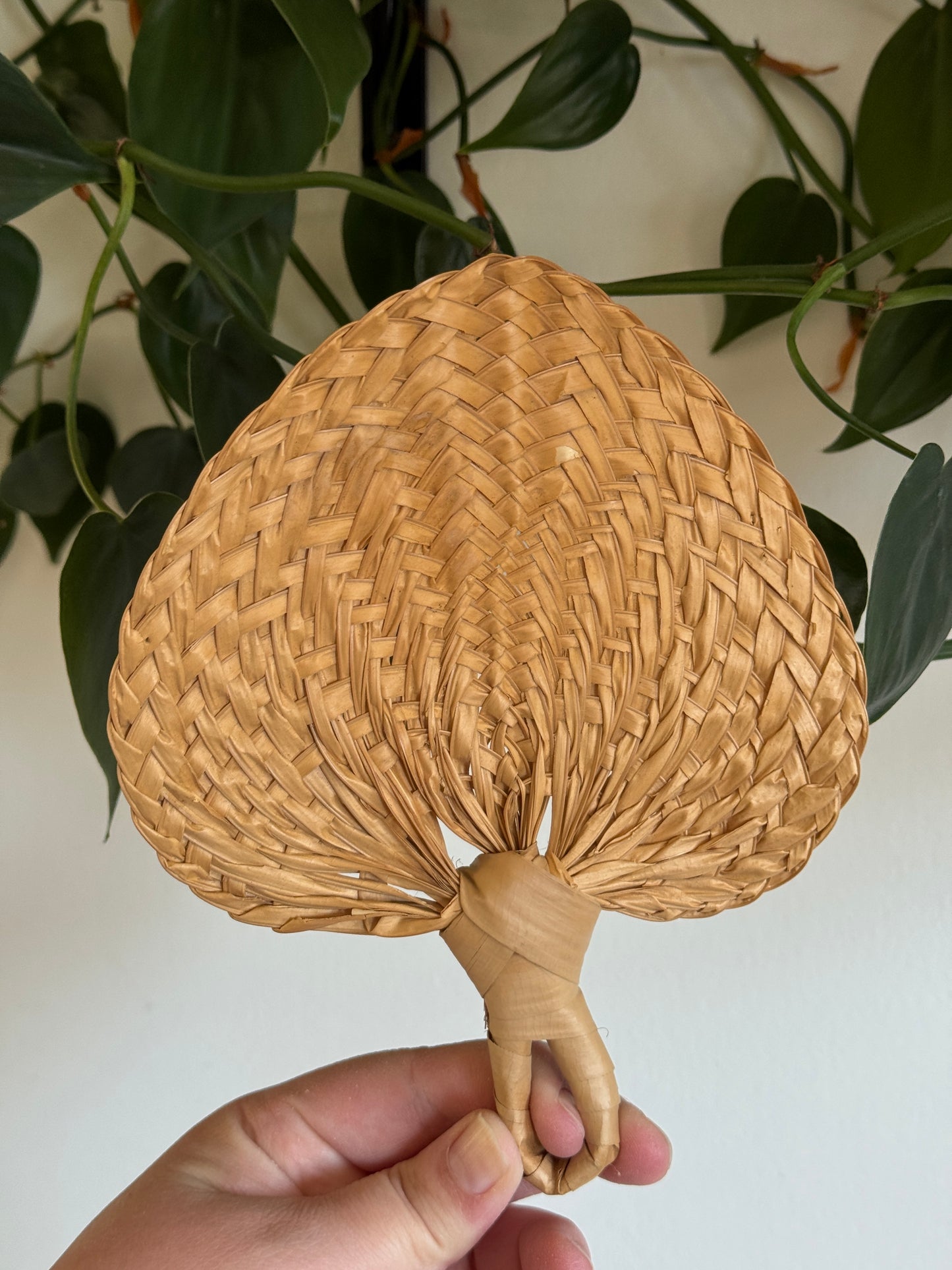 Vintage Lot of Natural Woven Hand Fan Wall Decor - Handheld Boho Mini Fans