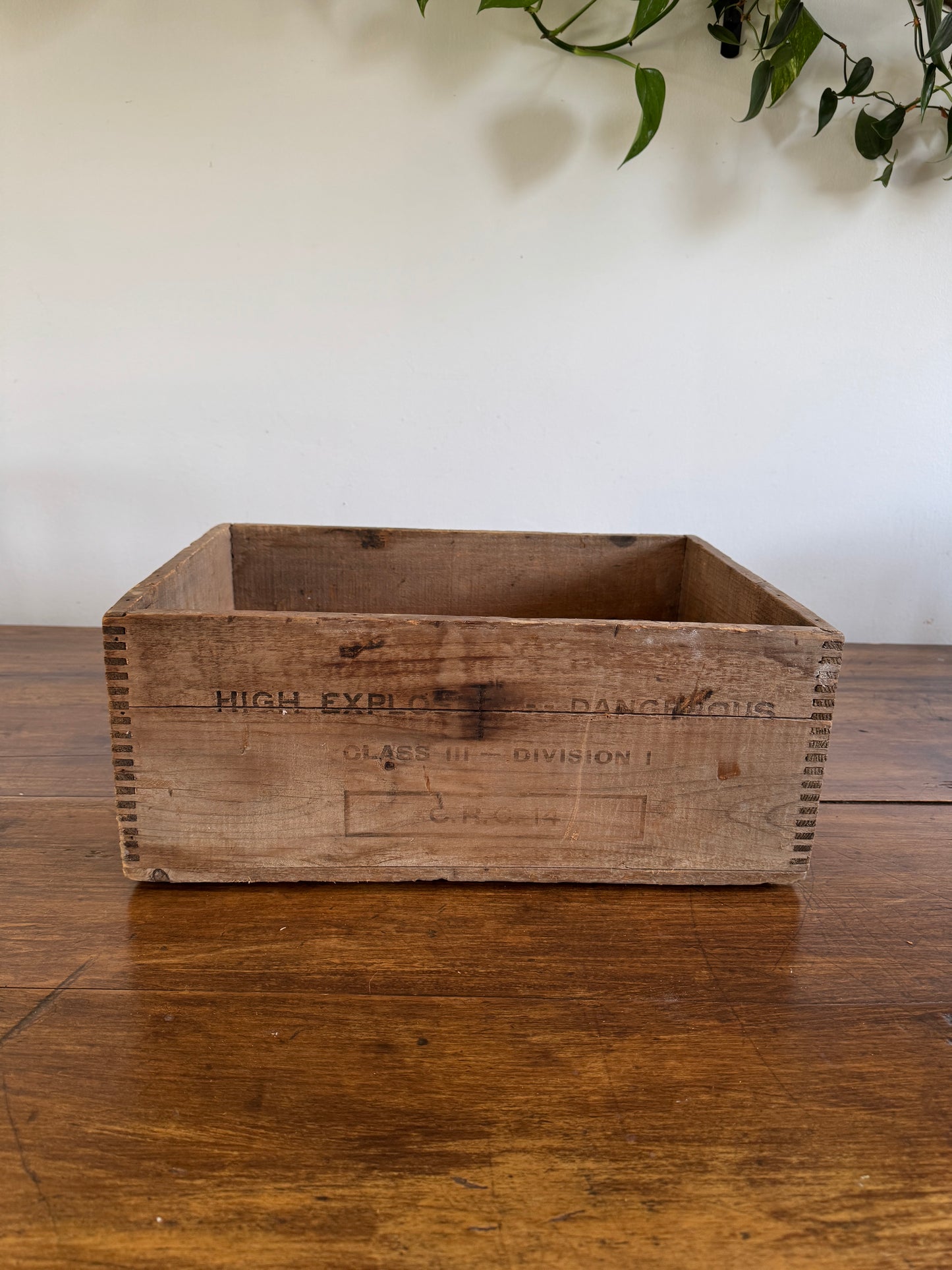 Polar Forcite Gelatin Wooden Crate