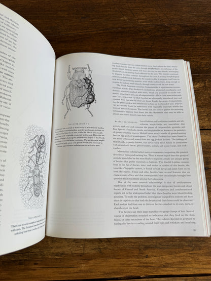 An Inordinate Fondness for Beetles Book by Evans and Bellamy 2000 - Printed in PR China