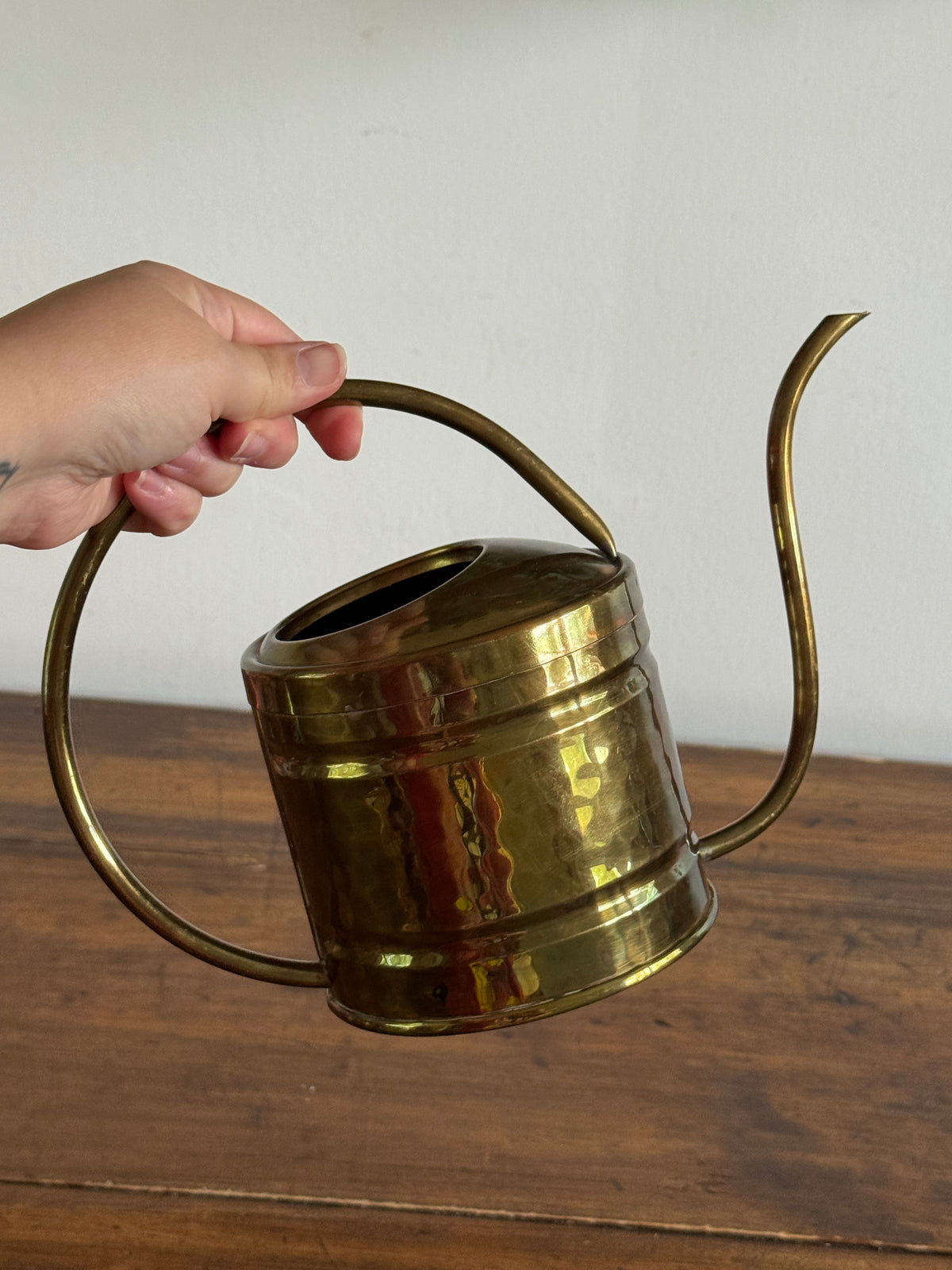 Vintage Brass Watering Can with Looped Handle and Long Skinny Spout