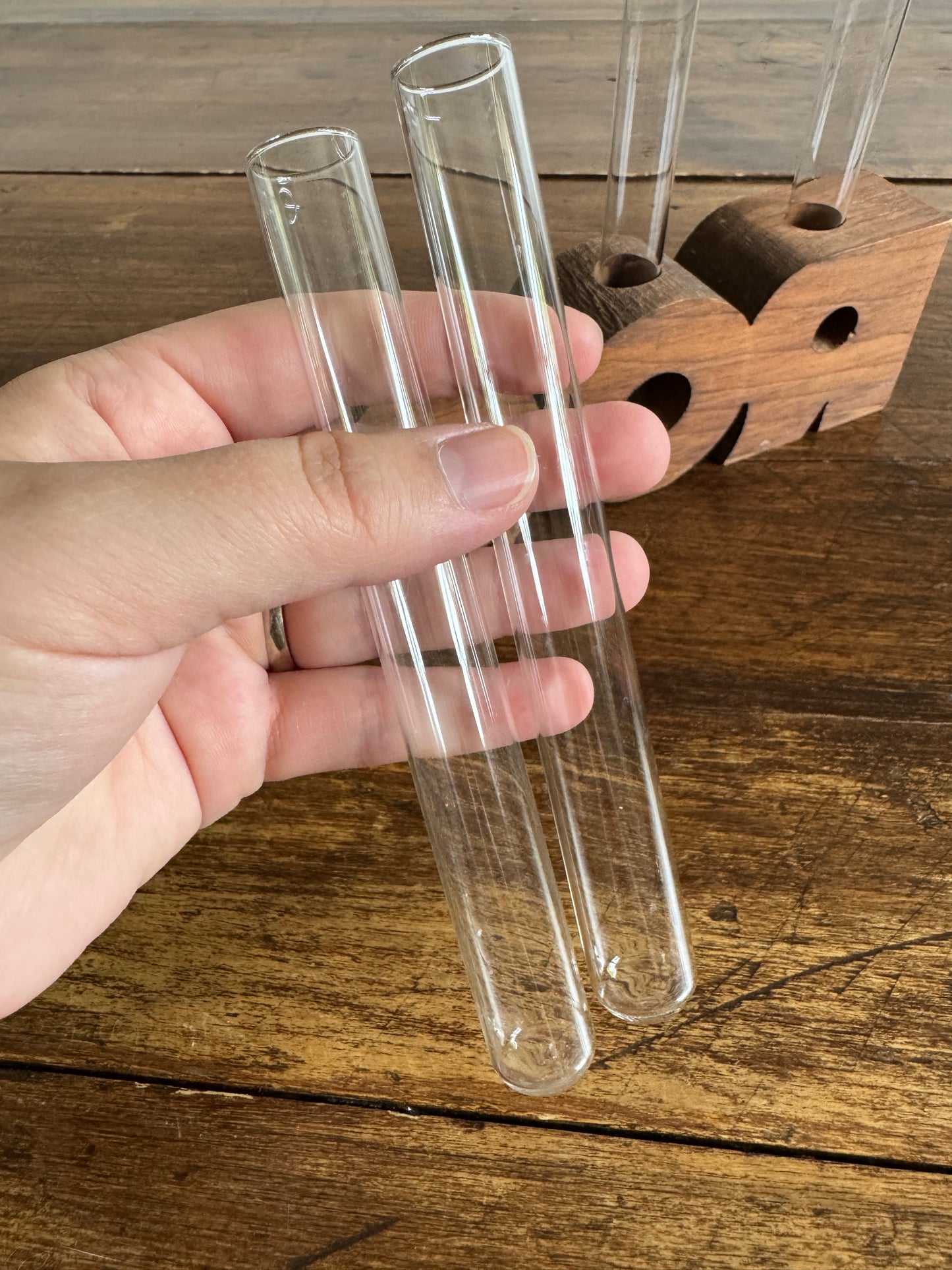 ROOT Propagation Vase - Wood Word with Glass Vial Holders