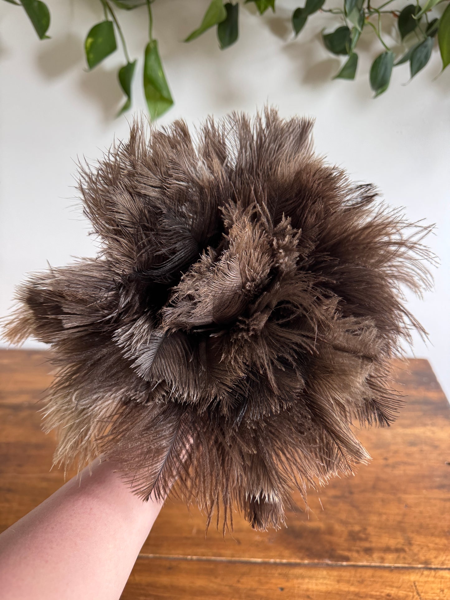 Vintage Real Feather Duster on Red Wood Handle