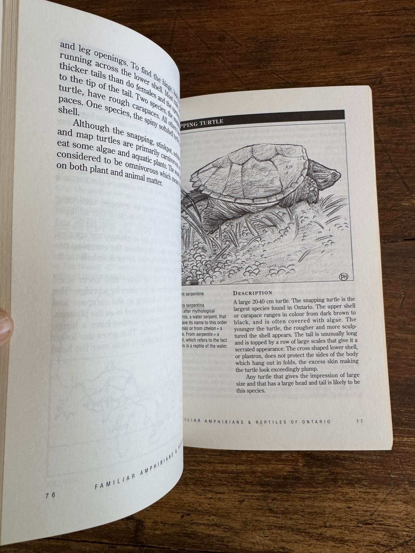 Amphibian and Reptiles of Ontario Reference Book by Bob Johnson