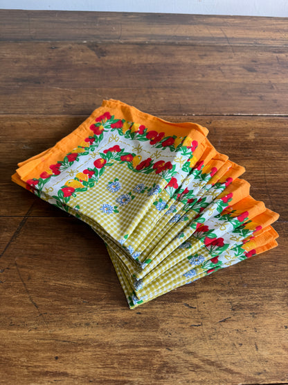 Colourful Fruit and Flowers Cloth Picnic Napkins - Set of 12