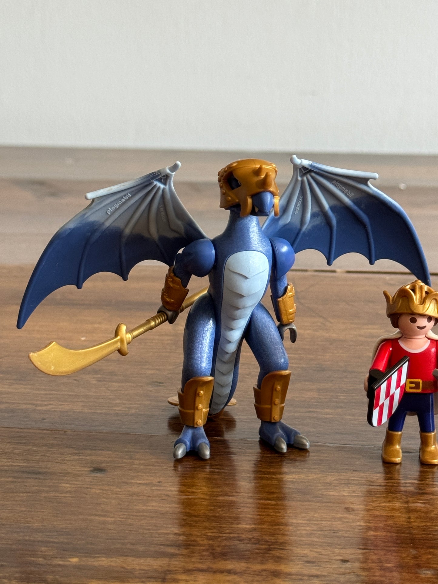 Playmobil Mixed Dragon Warrior Set