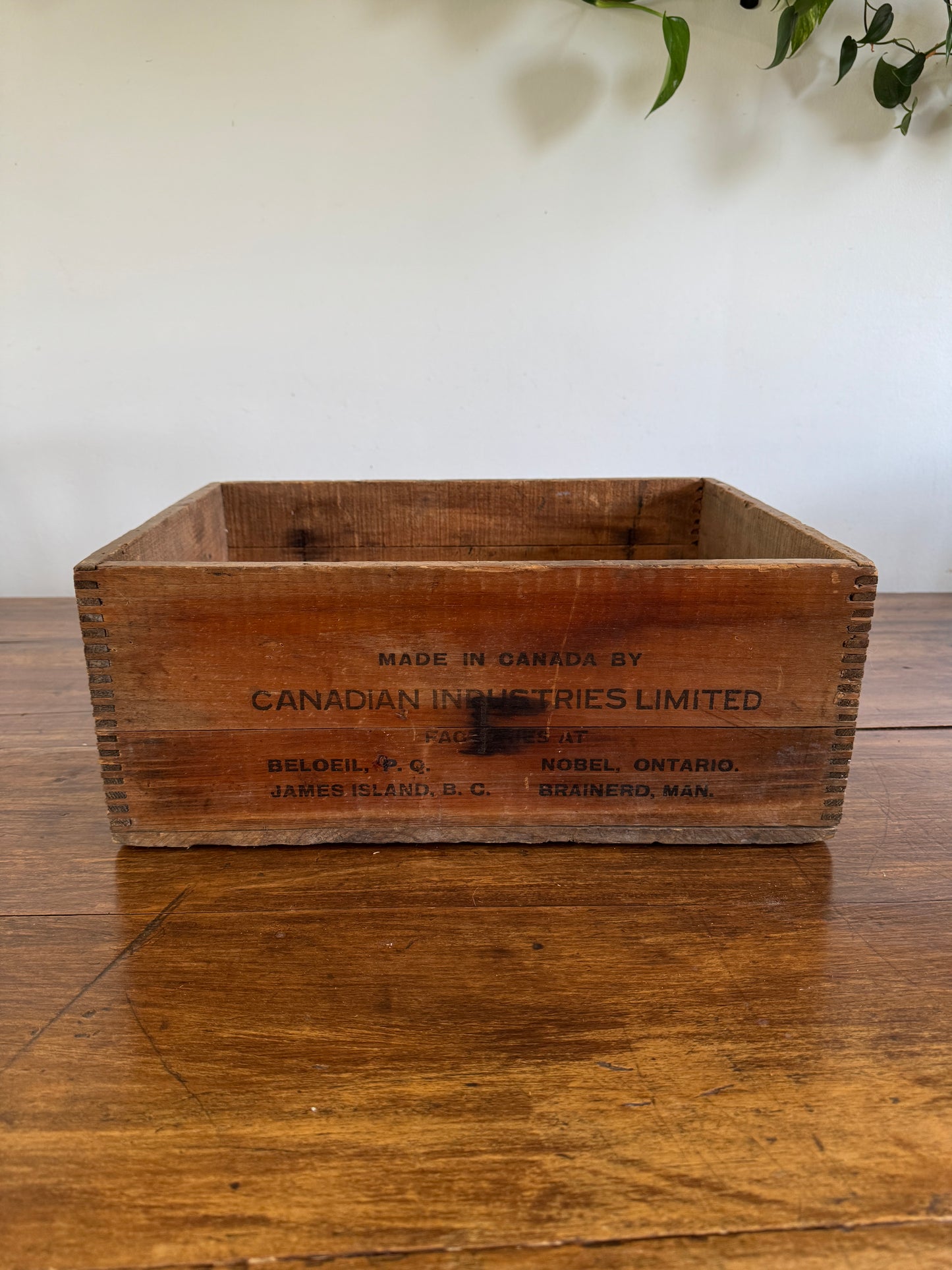 Polar Forcite Gelatin Wooden Crate