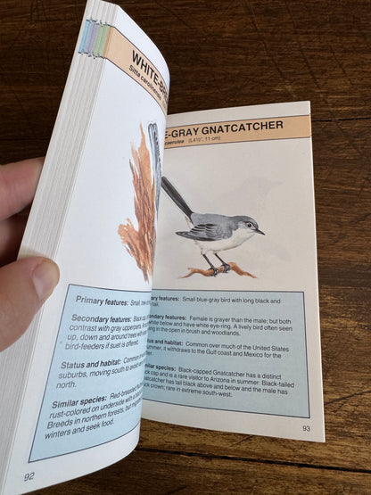 North American Birds Pocket Guide Book by Andrew Cleave