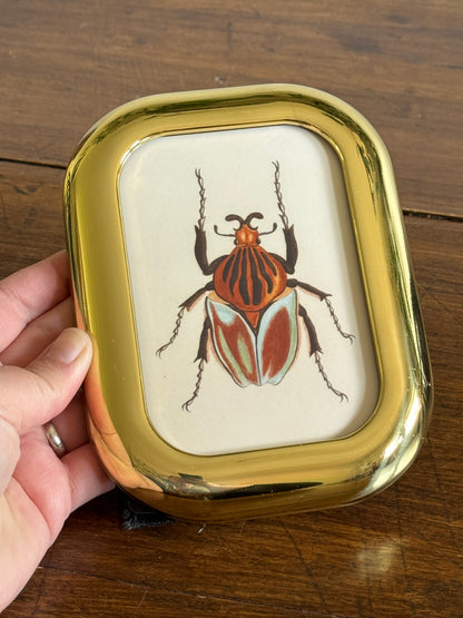 Small Rounded Brass Frame and Beetle Art Print