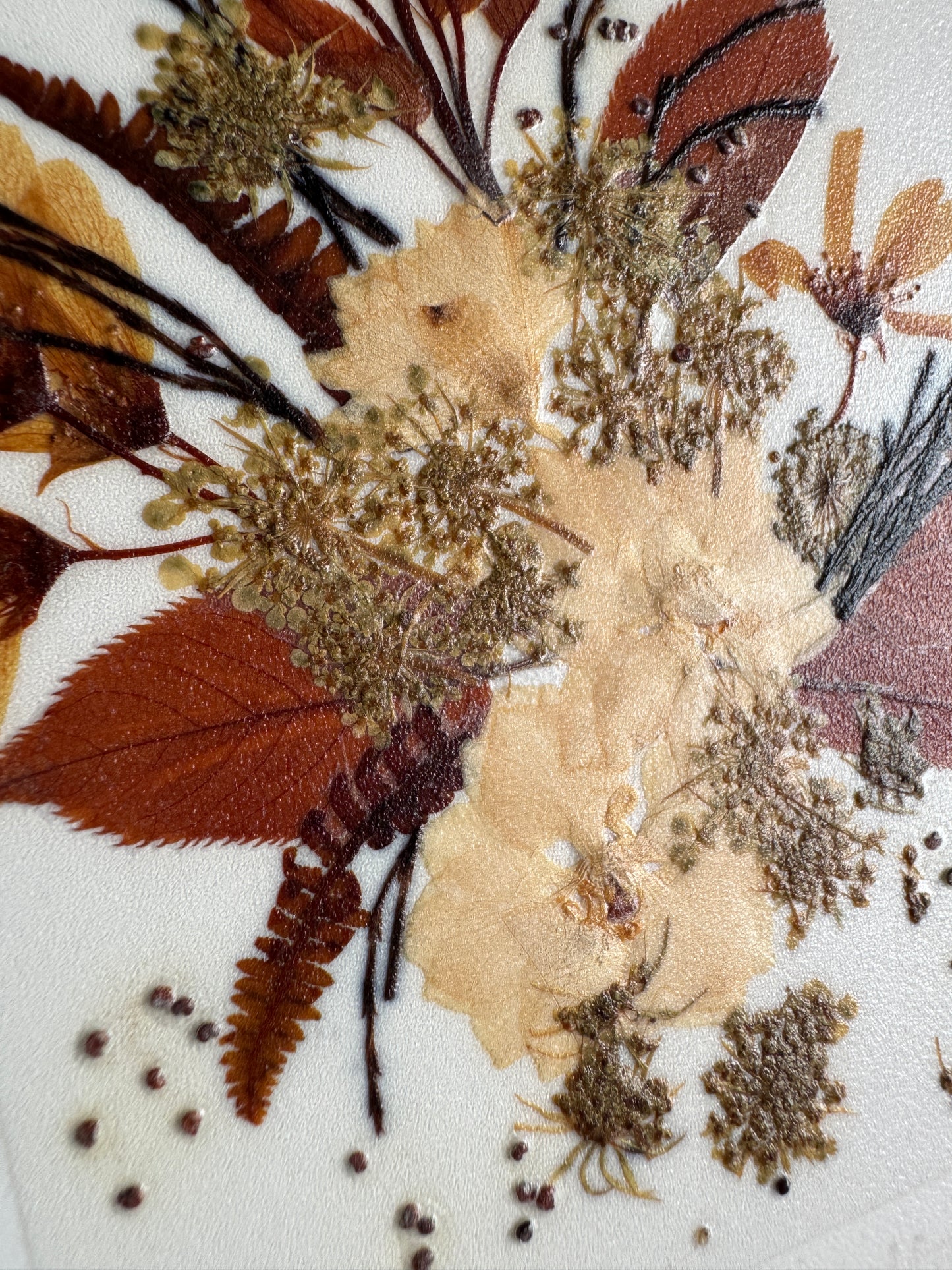 Vintage Henni Original Rectangle Pressed Flower Art