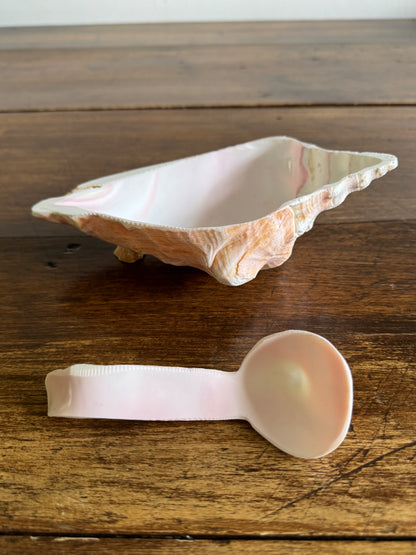 Carved Conch Shell Dish with Shell Spoon - Mermaid Dining Set