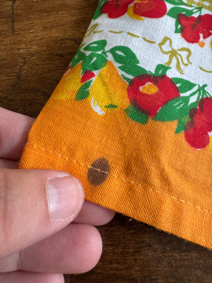 Colourful Fruit and Flowers Cloth Picnic Napkins - Set of 12