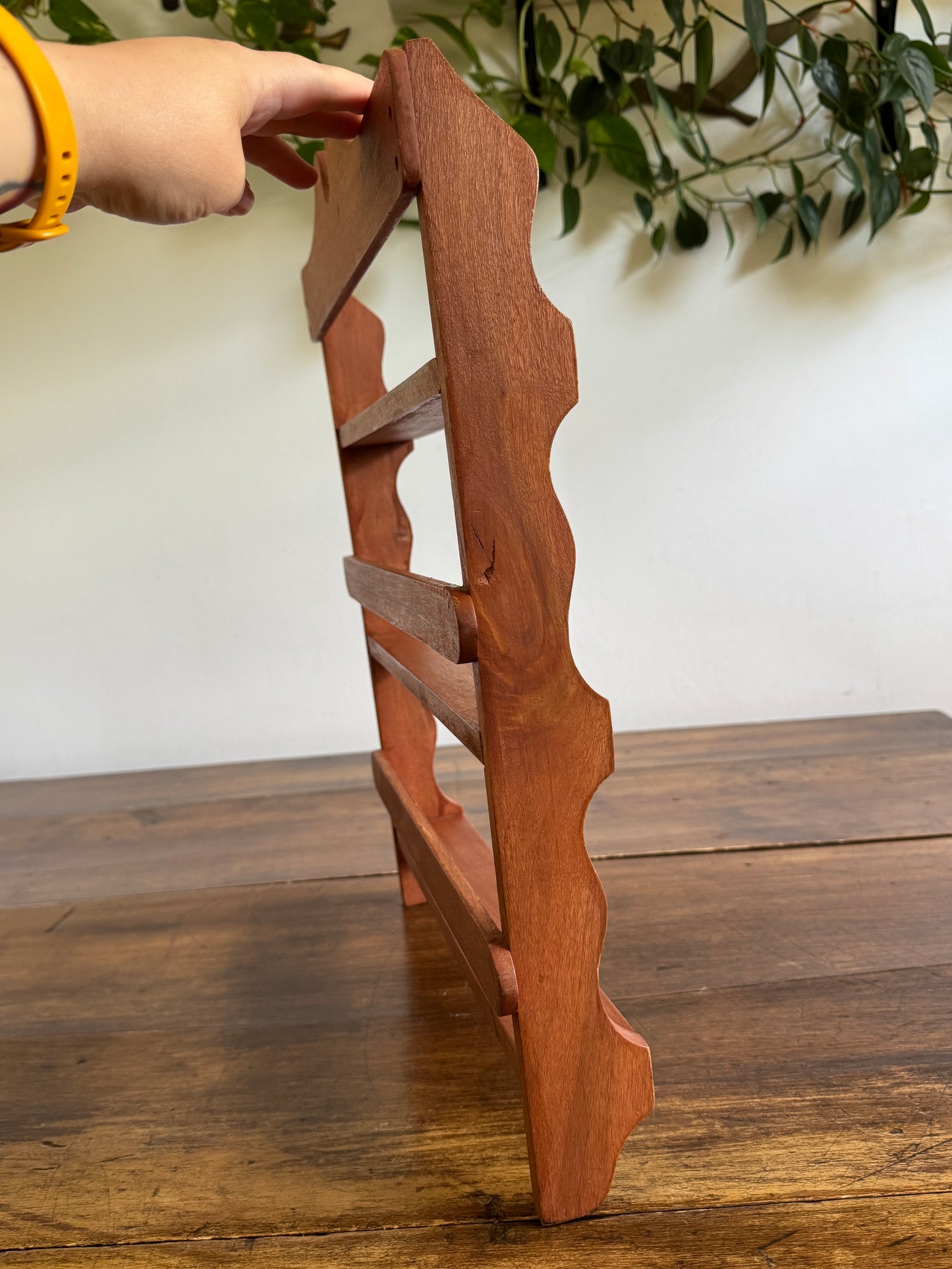 Large Spice Rack with Simple Wood Carved Edging - Wall Mounted