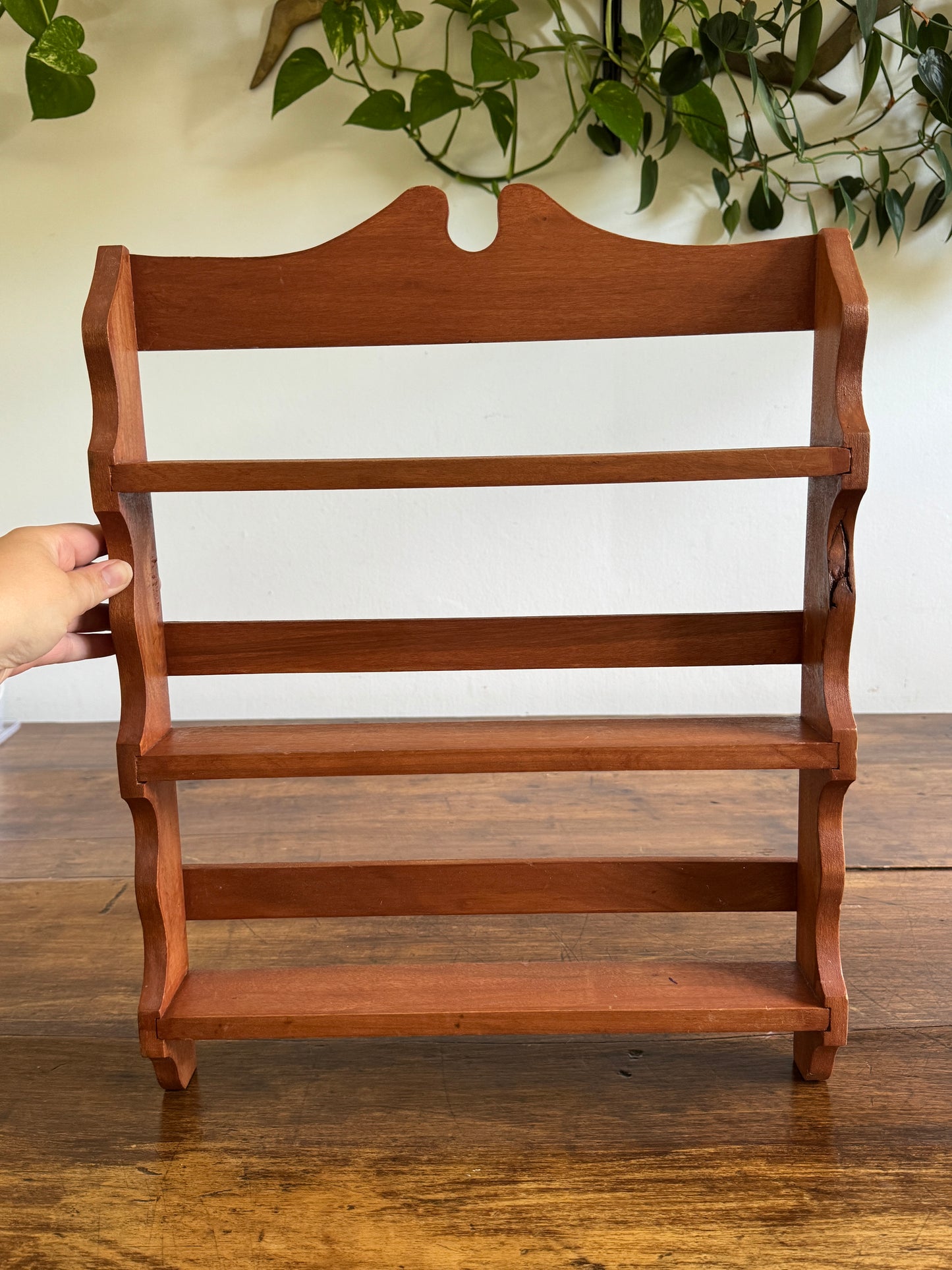Large Spice Rack with Simple Wood Carved Edging - Wall Mounted
