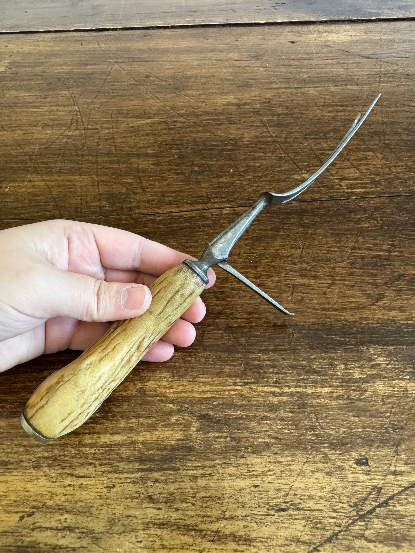 Vintage English Carving Fork with Horn Handle