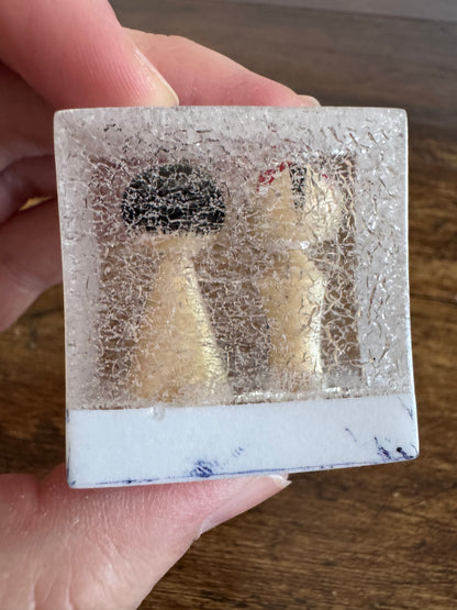 Japanese Dolls in Crackle Casing