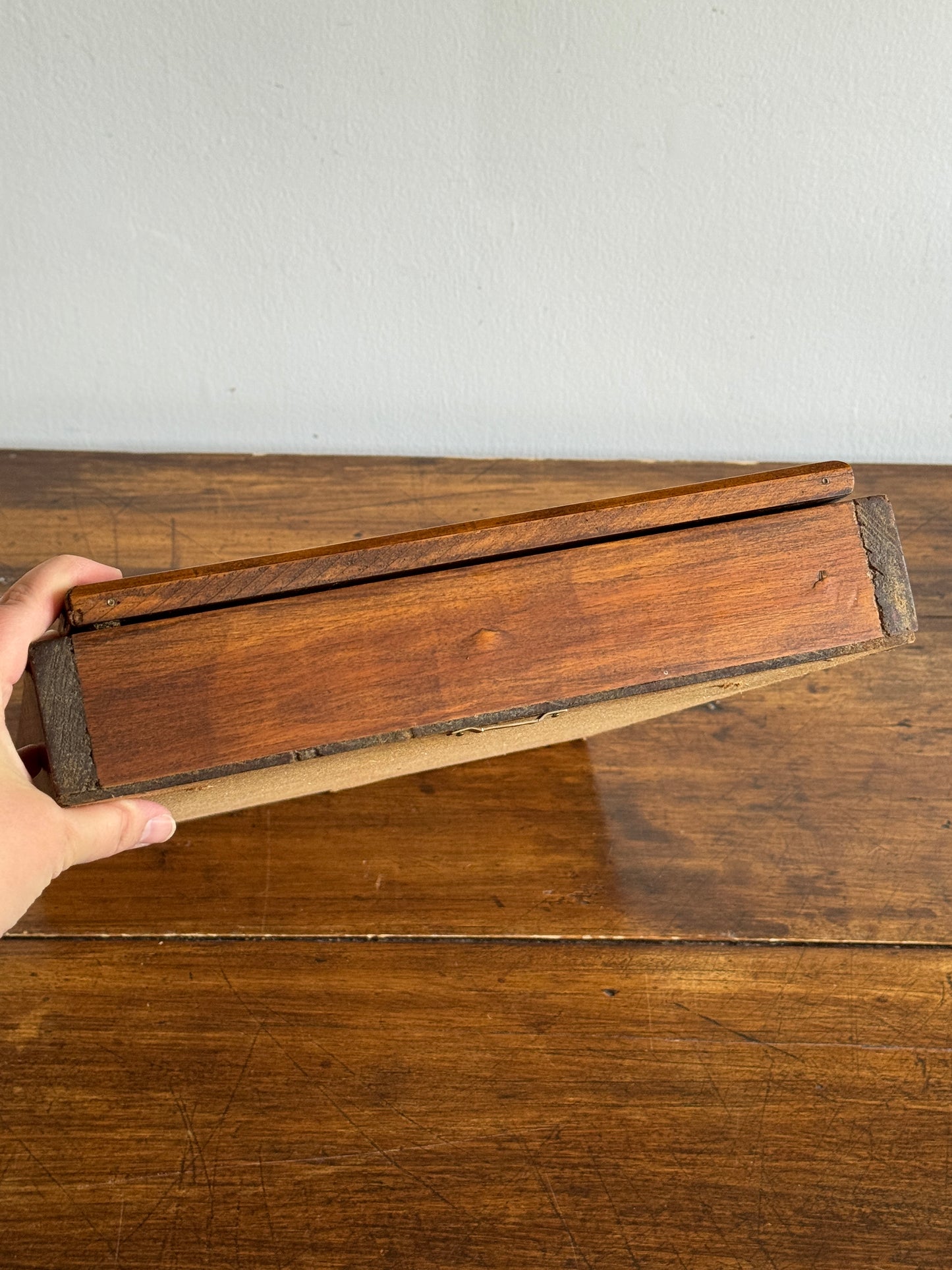 Vintage Shallow Wood and Glass Shelf with Multi Levels and Door
