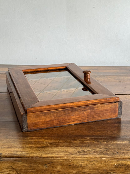 Vintage Shallow Wood and Glass Shelf with Multi Levels and Door